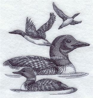 312x329 Minnesota Loon Sketch Serendipity Embroidery - Loon Sketch