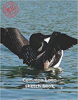260x335 Common Loon Sketch Book Blank Paper For Drawing, Doodling Or - Loon Sketch