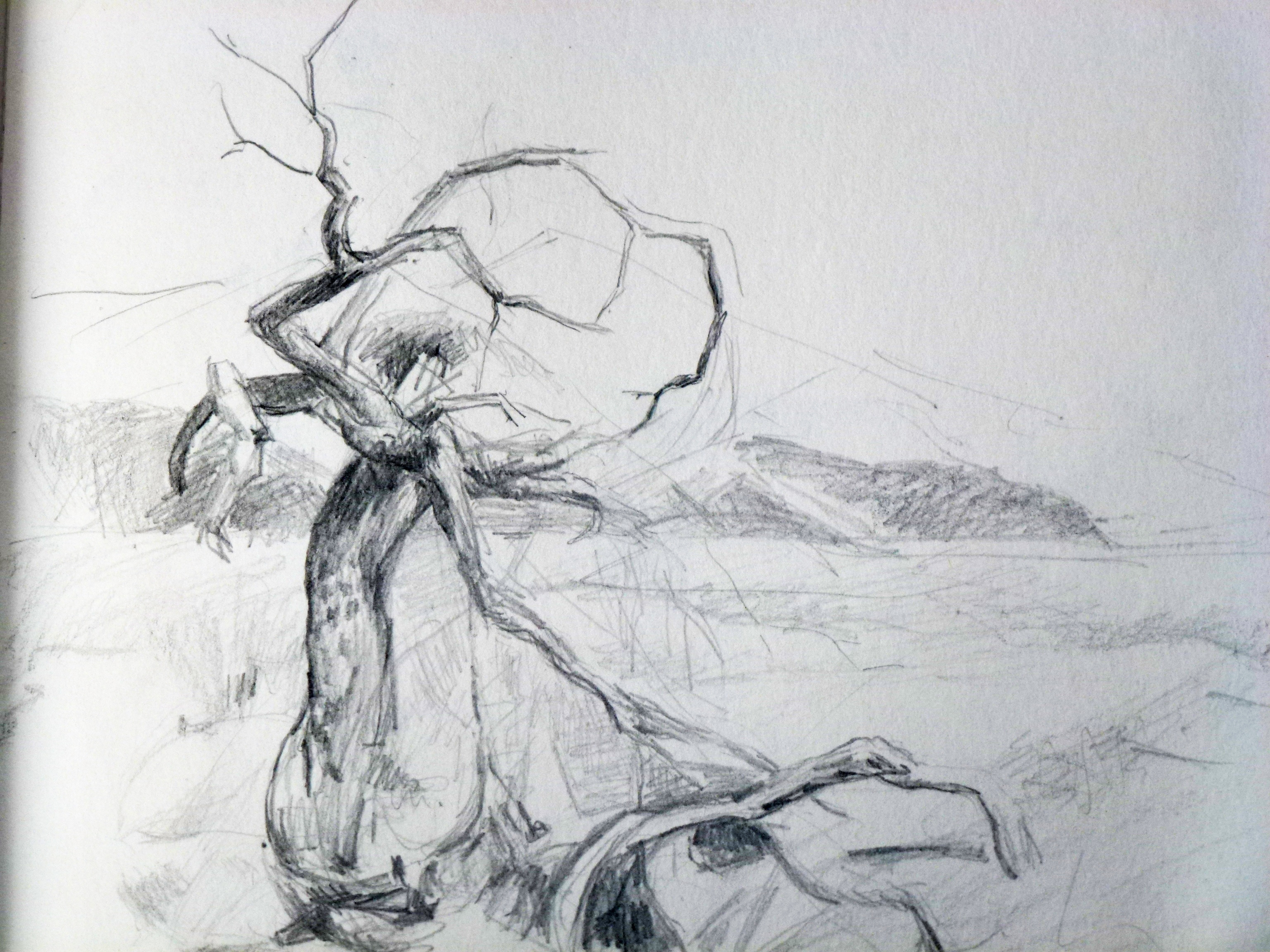 3072x2304 Sketchbook Lost Art By Julianne Blog - Lost Sketch