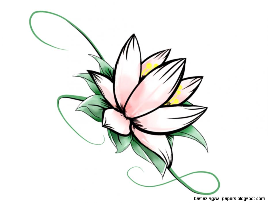931x706 Lotus Flower Drawing Sketch Amazing Wallpapers - Lotus Flower Drawing Sketch