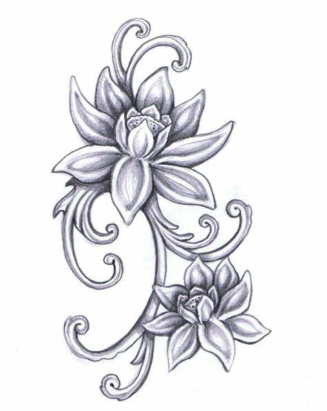 Lotus Flower Drawing Sketch at PaintingValley.com | Explore collection ...