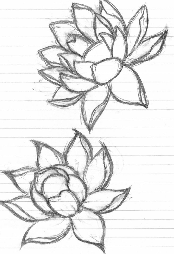 Lotus Flower Drawing Sketch at PaintingValley.com ...