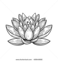 236x246 Lotus Flower Sketch Inspirations Flower Sketches - Lotus Flower Drawing Sketch