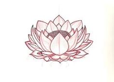 Lotus Flower Drawing Sketch at PaintingValley.com | Explore collection ...