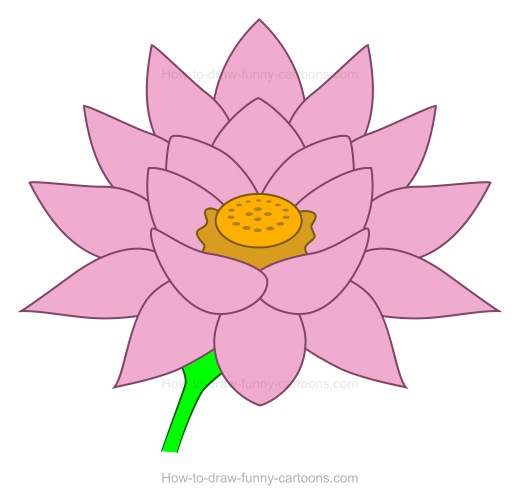 520x504 Sketch Clipart Lotus Flower - Lotus Flower Drawing Sketch