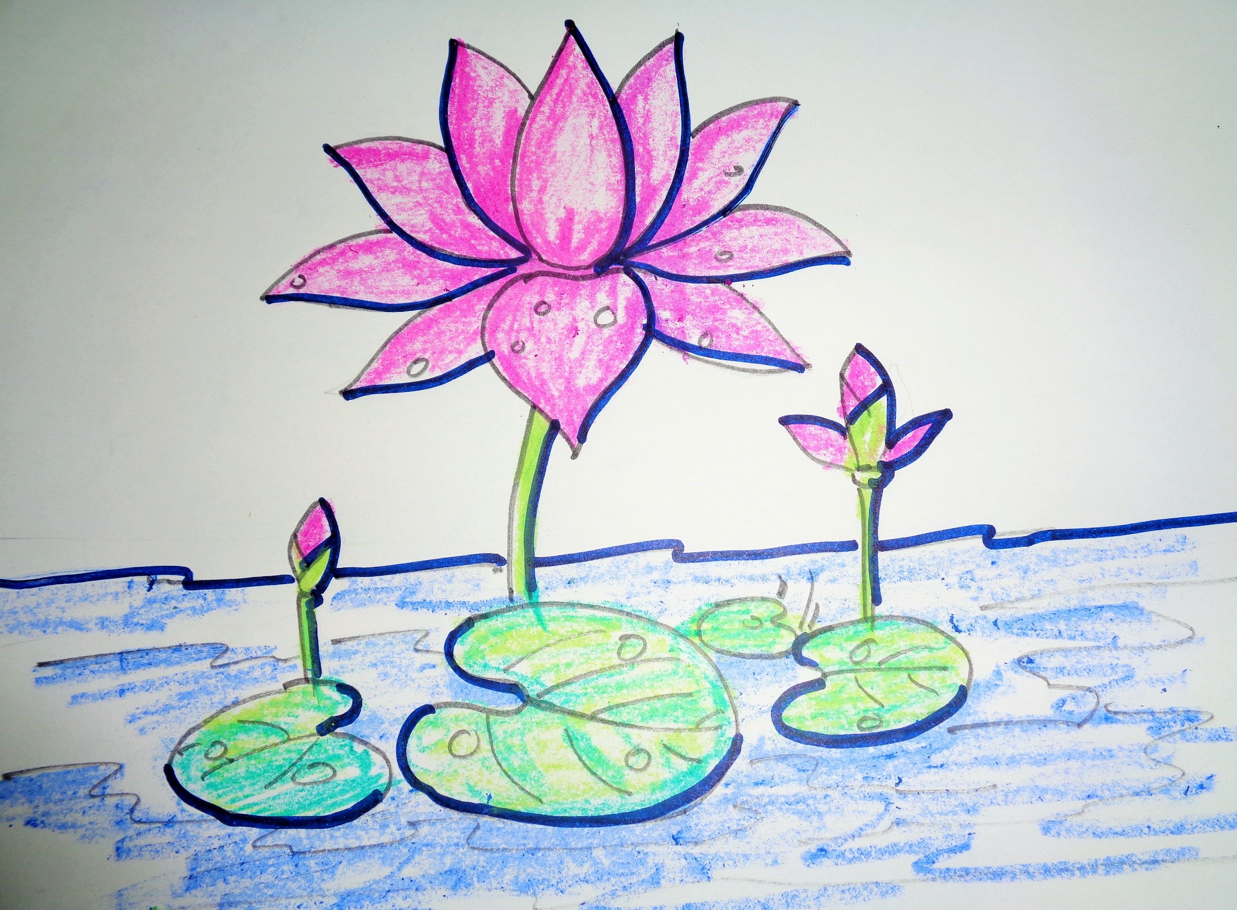 2494x1835 How To Draw Lotus Step By Step - Lotus Flower Drawing Sketch