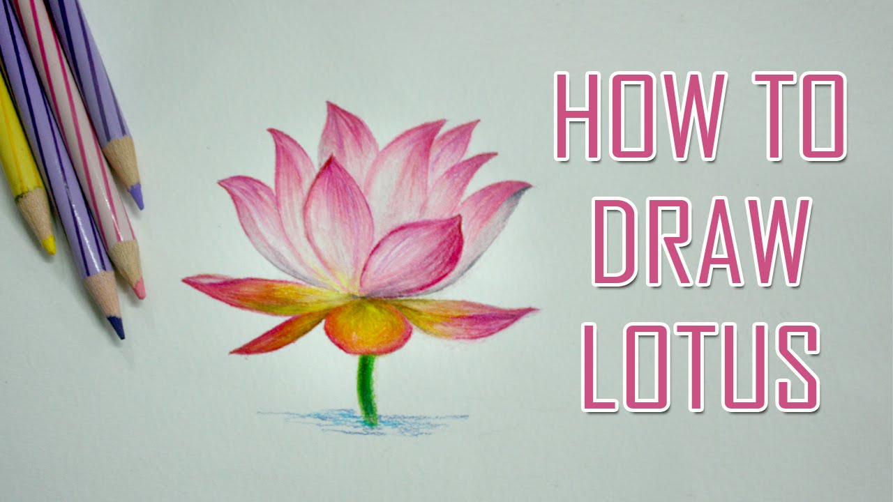 Lotus Flower Pencil Sketch