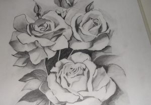 300x210 Flowers In Pencil Sketch Flowers Pencil Sketch Images Pencil - Lotus Flower Pencil Sketch
