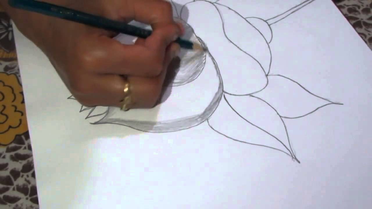 1280x720 How To Draw And Sketch A Lotus Flower Using Pencil - Lotus Flower Pencil Sketch