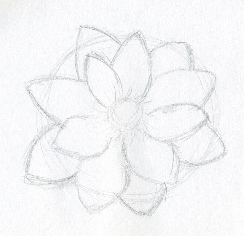 823x797 Lotus Flower Drawings Made Easy - Lotus Flower Sketch Images