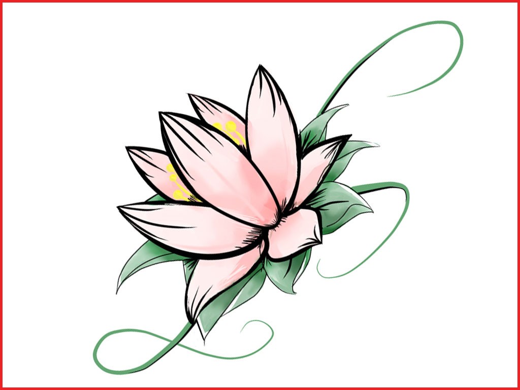 1024x768 Simple Flower Drawings 165078 Lotus Flower Drawings - Lotus Flower Sketch Images