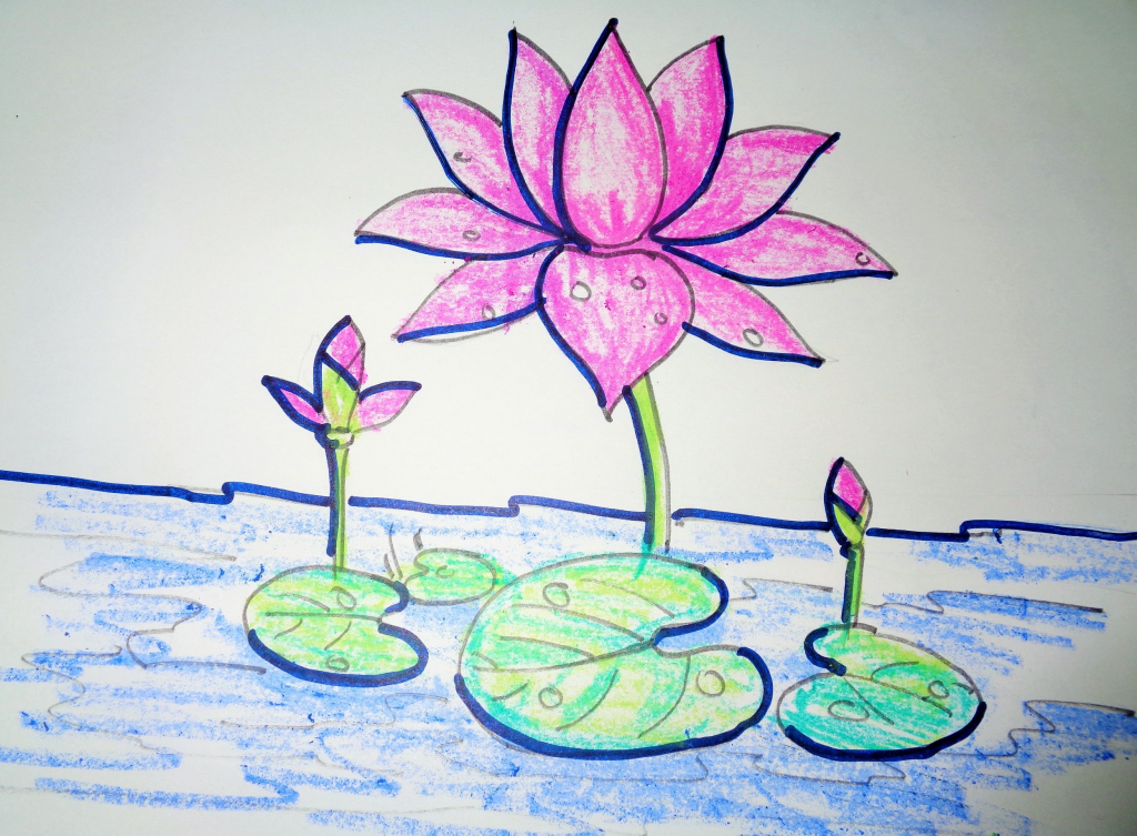 Lotus Flower Sketch Step By Step at PaintingValley.com | Explore ...