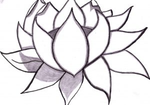 300x210 Lotus Flower Pencil Drawing Lotus Flower Pencil Drawing Lotus - Lotus Flower Sketch Step By Step