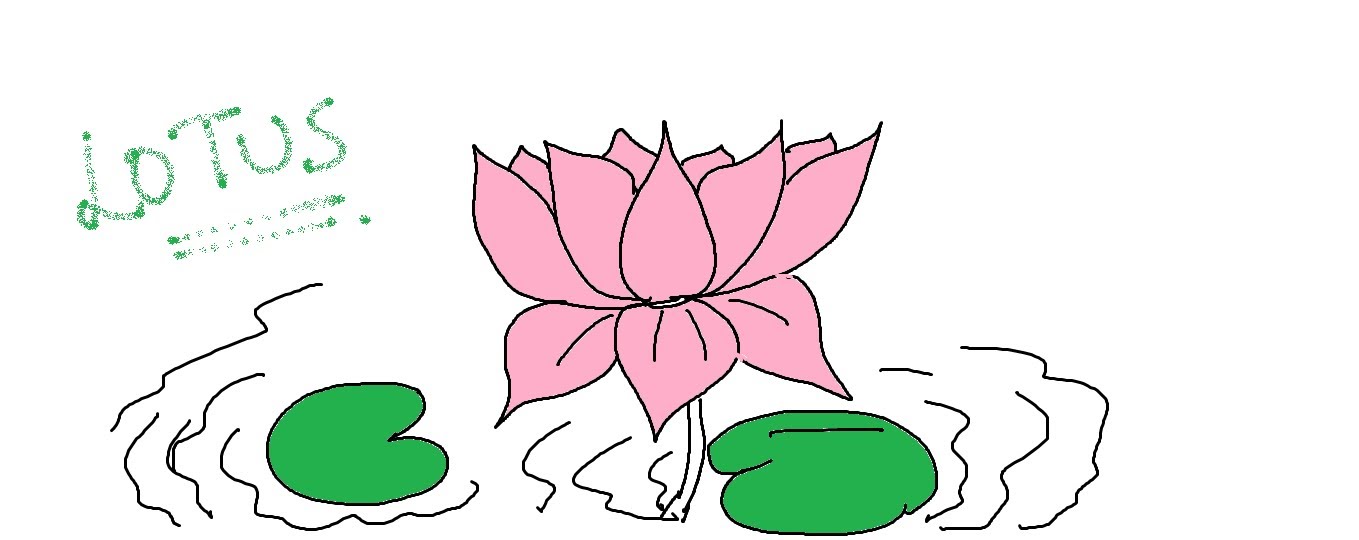 1359x540 Easy Kids Drawing Lessons How To Draw A Flower Lotus Easy For - Lotus Leaf Sketch