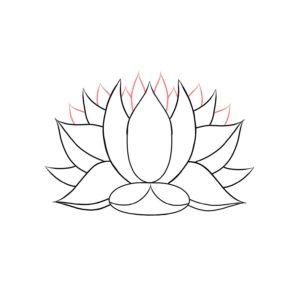 300x300 How To Draw A Lotus - Lotus Leaf Sketch