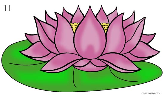 550x326 How To Draw Lotus Flower (Step By Step Pictures) Cool2bkids - Lotus Leaf Sketch