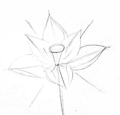 400x381 How To Draw A Lotus - Lotus Leaf Sketch