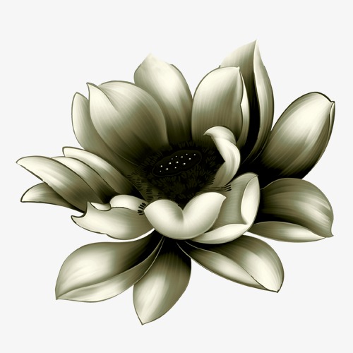 500x500 Lotus Sketch, Lotus, Sketch, Decoration Png And Psd File For Free - Lotus Sketch