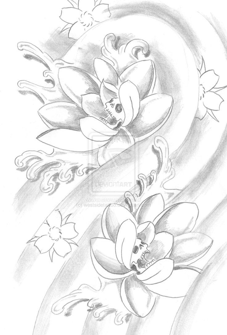 736x1086 Lotus Sketch By ~westsidetattoo Interesting - Lotus Sketch
