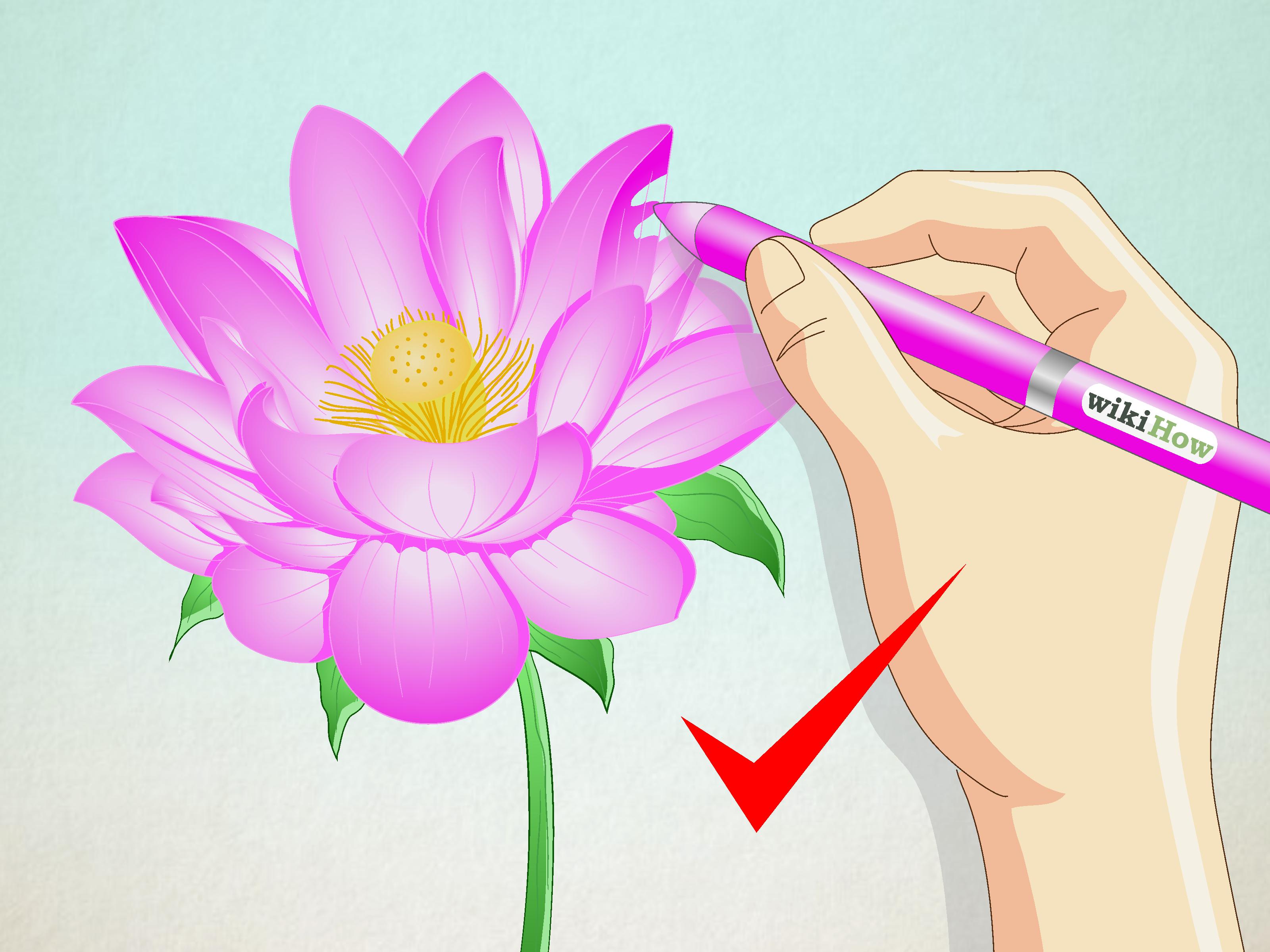 3200x2400 How To Draw A Lotus Flower 7 Steps (With Pictures) - Lotus Sketch Images