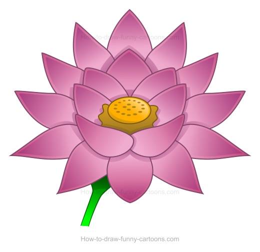 520x504 How To Create A Lotus Flower Drawing - Lotus Sketch Images