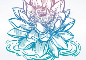 300x210 Lotus Flowers Drawing Lotus Drawing Images At Getdrawings Free - Lotus Sketch Images