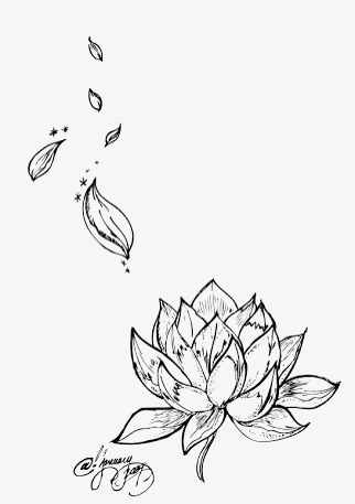 322x457 Lotus Sketch, Lotus Clipart, Sketch, Black And White Png Image And - Lotus Sketch Images
