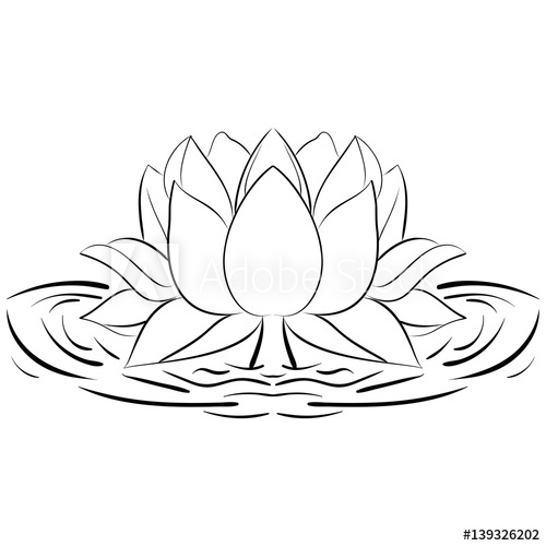 500x500 Lotus Sketch Flower Design Elements Illustration - Lotus Sketch Images