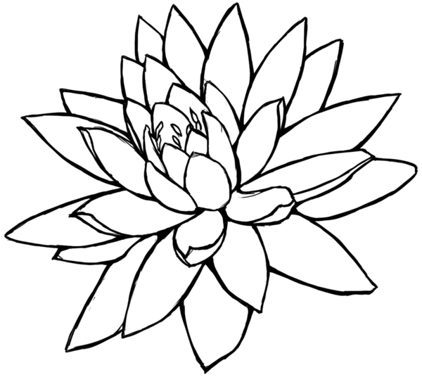 600x536 Sketch Clipart Lotus Flower - Lotus Sketch Images