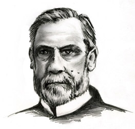 263x252 Louis Pasteur - Louis Pasteur Sketch
