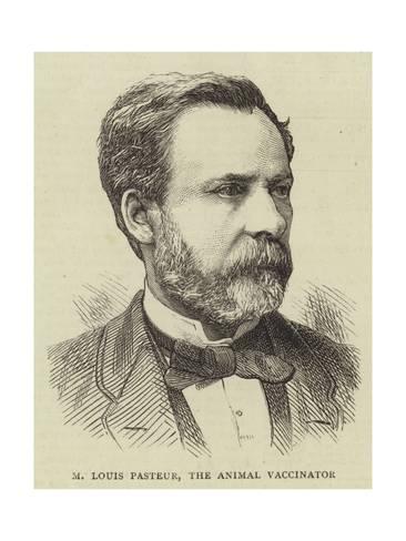 366x488 M Louis Pasteur, The Animal Vaccinator Giclee Print - Louis Pasteur Sketch