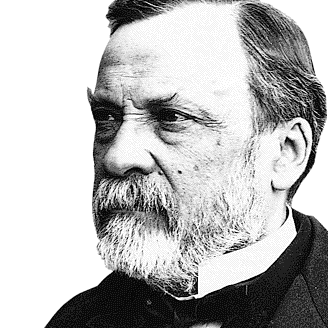 328x328 Heroes Of Wine Louis Pasteur (1822 1895) ~ The Wine Stalker - Louis Pasteur Sketch