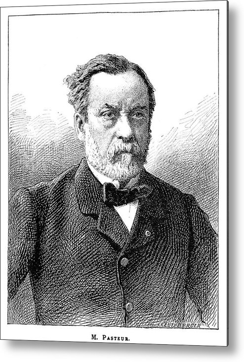 494x731 Louis Pasteur, French Microbiologist Metal Print By - Louis Pasteur Sketch