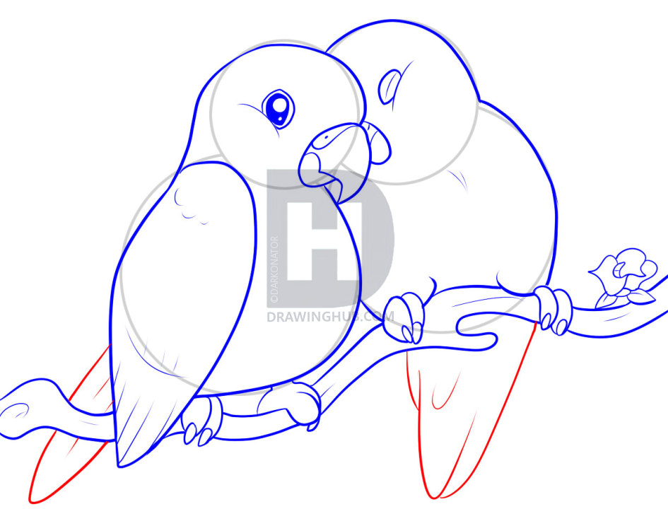 945x720 How To Draw Lovebirds, Step By Step, Drawing Guide, By Darkonator - Love Birds Sketch