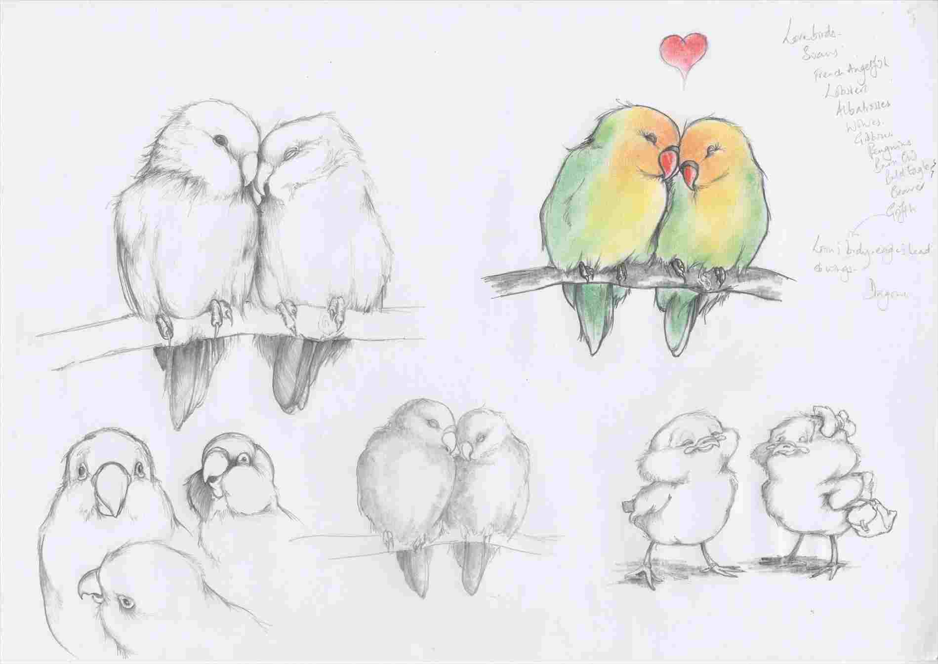 Love Birds Sketch At Paintingvalley Com Explore Collection Of Love Birds Sketch Bird drawing stock photos and images 172066 matches. love birds sketch at paintingvalley com