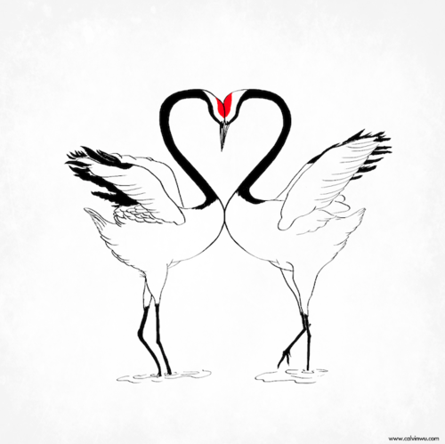 500x499 Drawings Of Love Birds Love Birds Bird - Love Birds Sketch Images