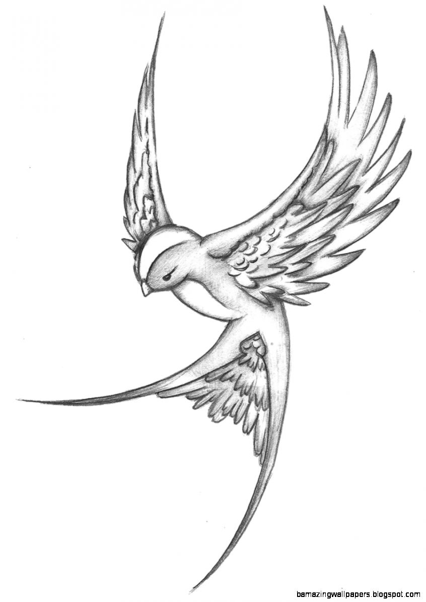 846x1196 Love Bird Sketch - Love Birds Sketch Images