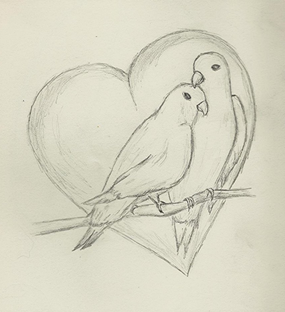 Featured image of post Sketch Love Birds Drawing - Download birds drawings vector art.