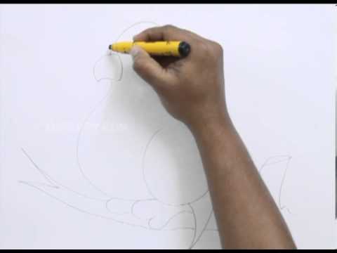 480x360 How To Draw A Love Bird - Lovebird Sketch