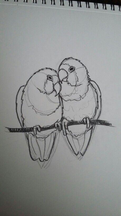 Lovebird Sketch at PaintingValley.com | Explore collection of Lovebird ...