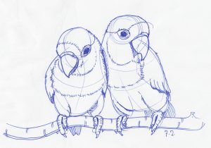 300x210 Simple Pencil Sketches Of Love Birds Simple Pencil Sketches Of - Lovebird Sketch