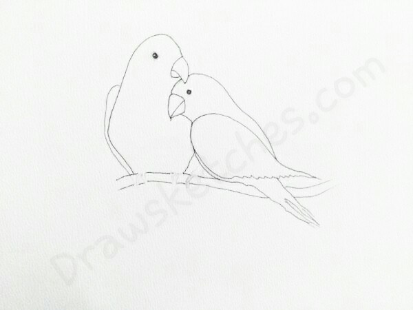 600x450 How To Draw Love Birds In A Few Easy Steps With Pictures - Lovebirds Sketch