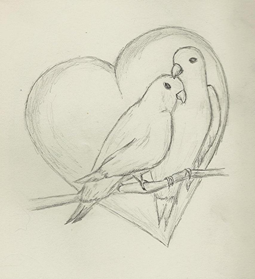854x935 Love Birds Drawing By Richard Brooks - Lovebirds Sketch