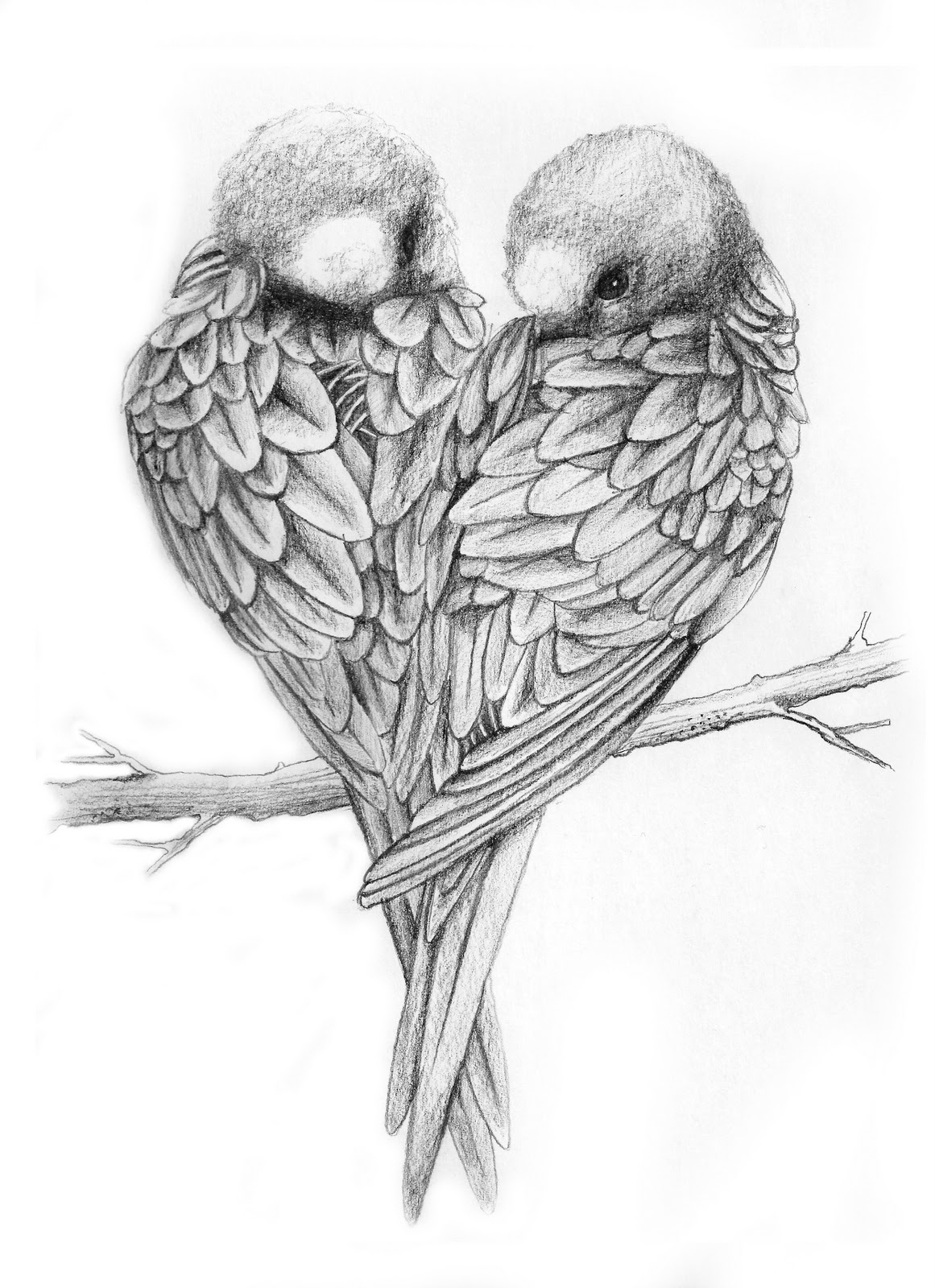1161x1600 Love Birds Sketches - Lovebirds Sketch