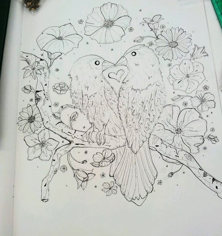 720x766 Lovebirds Sketch Allison Marsay Design - Lovebirds Sketch