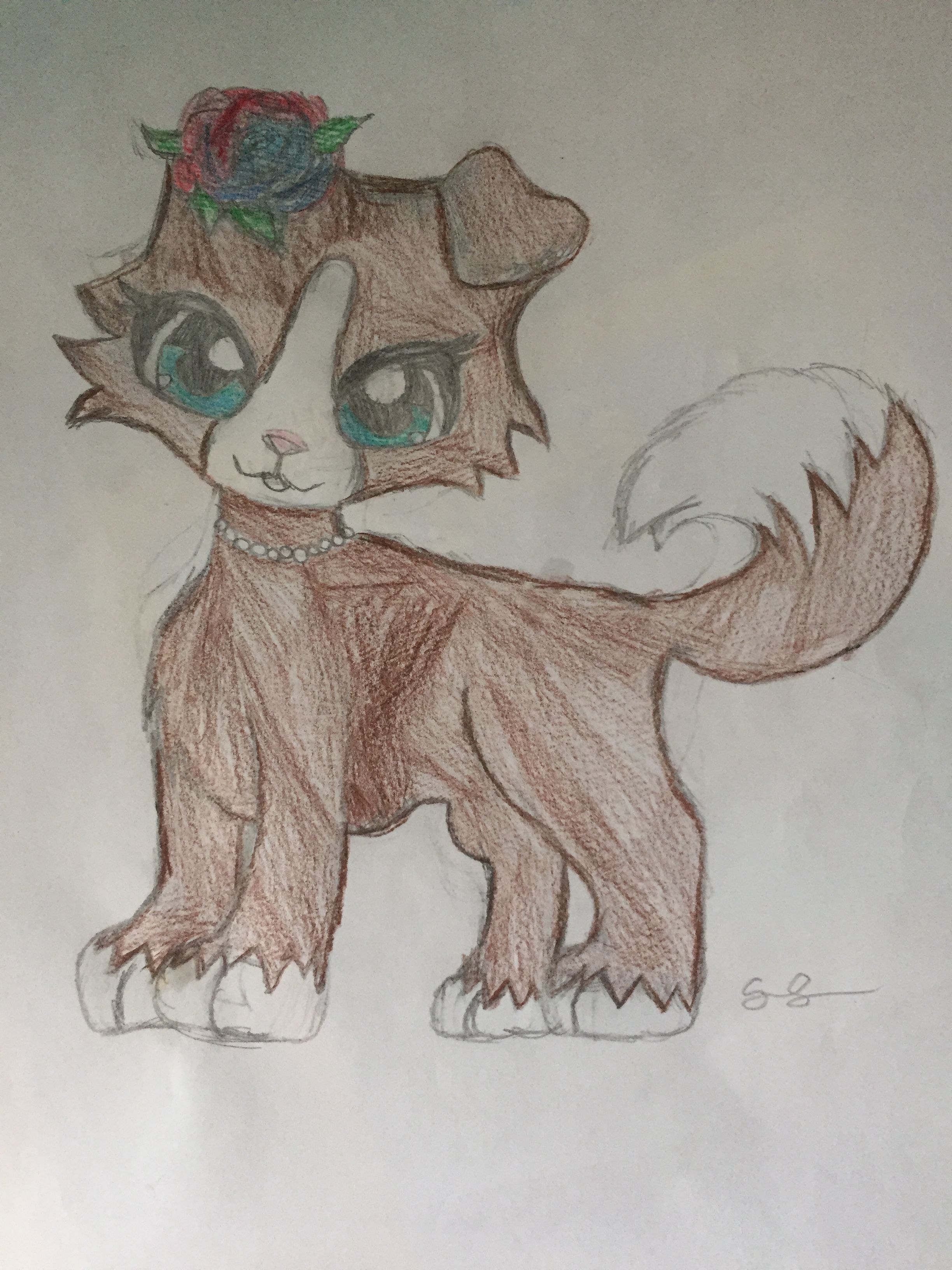 2448x3264 Lps Collie Drawing Lps Lps - Lps Sketch