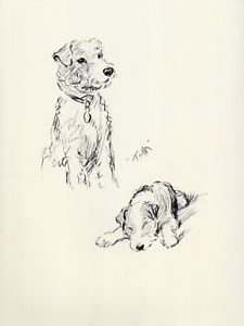 225x300 Wire Fox Terrier Cute Dog Lucy Dawson Dog Sketch Print - Lucy Sketch