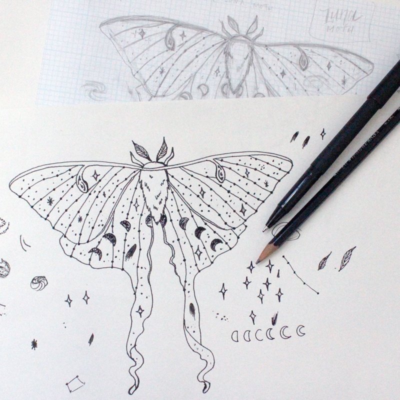 800x800 Glow In The Dark Luna Moth Screen Print - Luna Moth Sketch