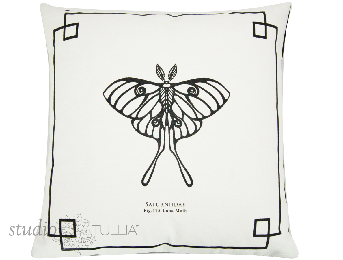 1188x900 Luna Moth With Border (Sm) And (Lg) Black Amp White Quick Ship - Luna Moth Sketch