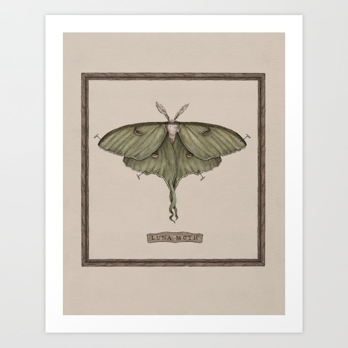 700x700 Luna Moth Art Print By Jessicaroux Society6 - Luna Moth Sketch